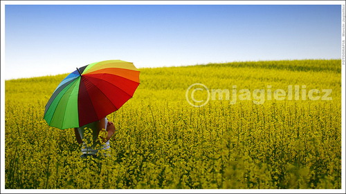 Under_my_umbrella_by_mjagiellicz