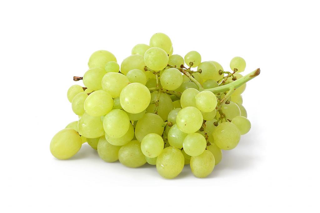 Green Fresh Grapes-797050