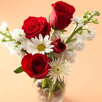 Beautiful-flowers-and-what-it-means-for-gift-giving-Photo-16