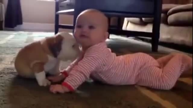 سگ و بازی با بچه ناز